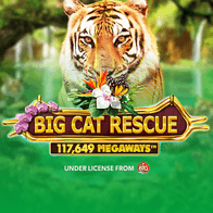 Big Cat RescueMegaways game thumbnail